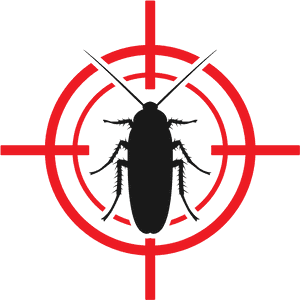 Roach Target - Cockroach Black And White, HD Png Download PNG