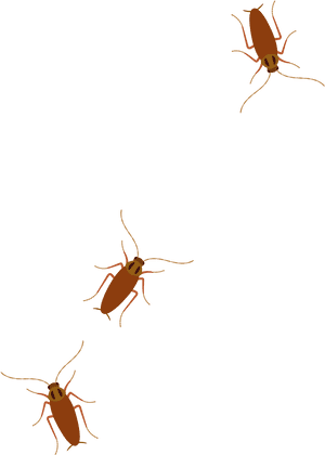 Cockroacheson Blue Background PNG