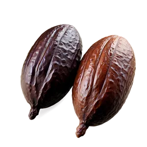 Cocoa Bean Roasting Png 06292024 PNG Image