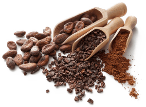 Cocoa Beans Png Hd - Cocoa Beans Png, Transparent Png PNG image with transparent background