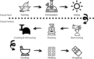Bean To Bar - Chocolate Bean To Bar Png, Transparent Png PNG image with transparent background