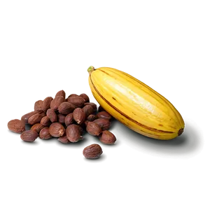 Cocoa C PNG Image