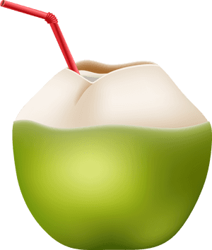 Picture Free Library Coconut Transparent Straw Png, Png Download PNG