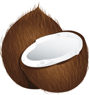 Coconut Png Image - Coconut Clipart Png, Transparent Png PNG image with transparent background