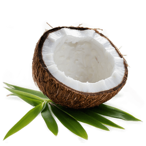 Coconut Oil Conditioner PNG gvr61 PNG with transparent background