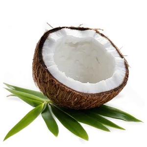 Coconut Oil Conditioner Png Gvr61 PNG Image