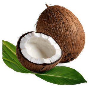 Coconut Oil Cooking Oil PNG 06262024 PNG with transparent background