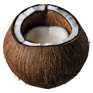 Coconut Oil Stretch Mark Reducer PNG keq PNG with transparent background