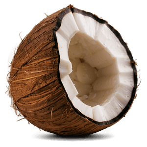 Coconut PNG mkr PNG with transparent background