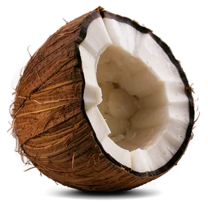 Coconut Png Mkr PNG Image