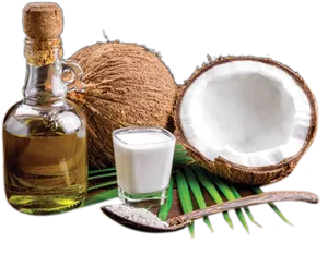 Coconut Products Display PNG Image