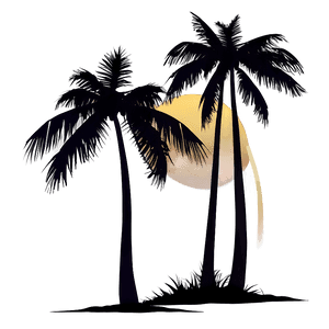 Coconut Tree Sunset Silhouette PNG 9 PNG