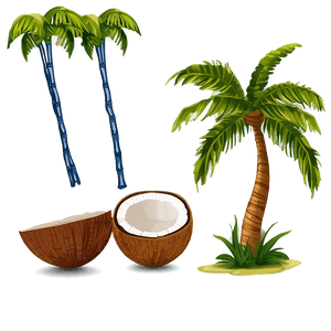 Coconut Tree with Coconuts PNG 06202024 PNG