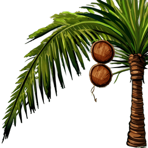 Coconut Tree with Coconuts PNG usc PNG