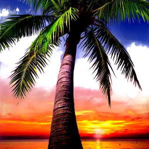 Coconut Tree With Sunset Background Png Pvy82 PNG Image