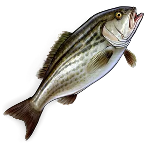 Cod Fish Texture Png Cjn PNG Image