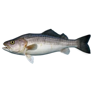 Cod Fish Texture Png Ojg30 PNG Image