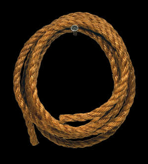 Coiled Lassoon Black Background PNG image with transparent background