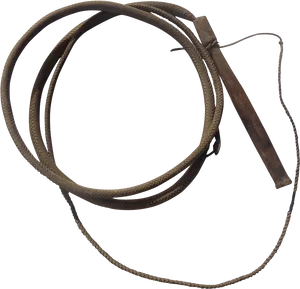 Coiled Leather Whip PNG Image