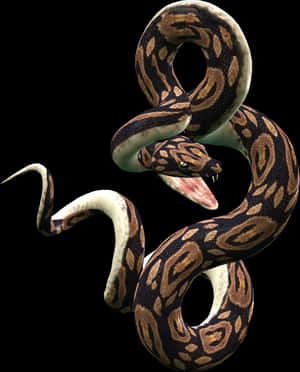 Coiled Snake Graphic PNG image with transparent background