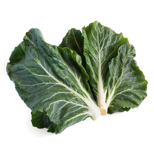 Collard Greens Icon Png 06252024 PNG Image