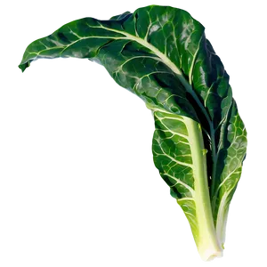 Collard Greens Salad Png Nek PNG Image