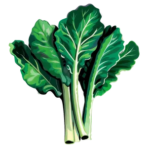 Collard Greens Vector Png 96 PNG Image