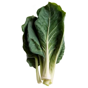 Collard Greens Vector Png Nls PNG Image