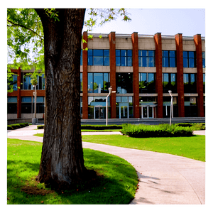 College Campus Scenery PNG 88 PNG