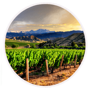 Colorado Vineyards PNG dlh37 PNG image with transparent background
