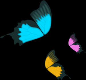 Colorful_ Abstract_ Butterflies PNG image with transparent background