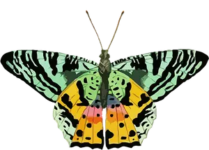 Colorful Abstract Butterfly Art PNG Image