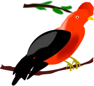 Colorful Andean Cockoftherock Bird Illustration PNG Image