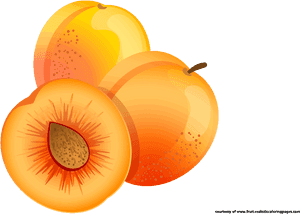 Transparent Orange Fruit Clipart - Sliced Apricot Clip Art, HD Png Download PNG with transparent background