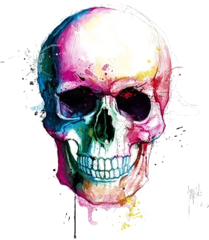 Colorful Artistic Skull Illustration PNG Image