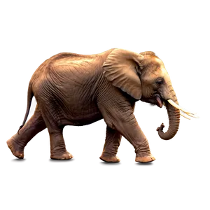 Colorful Baby Elephant Png Cxs7 PNG Image