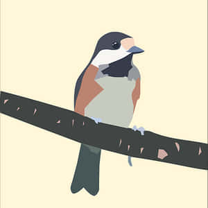 Colorful Bird Illustration PNG image with transparent background
