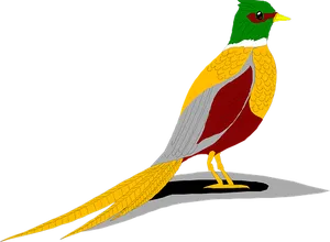 Colorful Bird Illustrationwith Shadow.jpg PNG Image