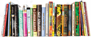Books On Shelf Png - Books On A Shelf, Transparent Png PNG image with transparent background