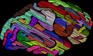 Colorful Brain Artwork PNG image with transparent background