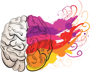 Colorful Brain Artwork PNG Image