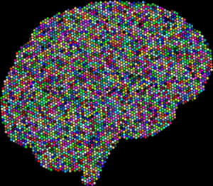 Colorful Brain Connectome Representation PNG image with transparent background