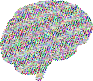 Colorful Brain Connectome Representation PNG Image