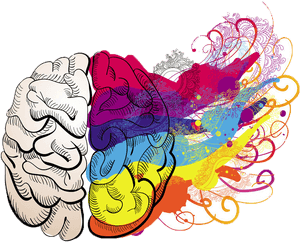 Colorful Brain Creativity Explosion PNG with transparent background