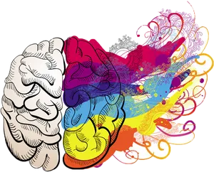 Colorful Brain Creativity Explosion PNG Image