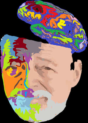 Colorful Brain Silhouette Portrait PNG image with transparent background