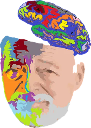 Colorful Brain Silhouette Portrait PNG Image