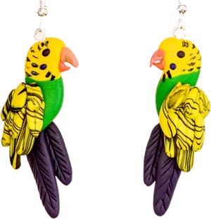 Colorful Budgie Earrings Transparent Background PNG Image