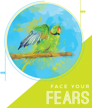 Colorful Budgie Facing Fears PNG Image