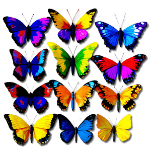 Colorful Butterflies PNG one PNG image with transparent background